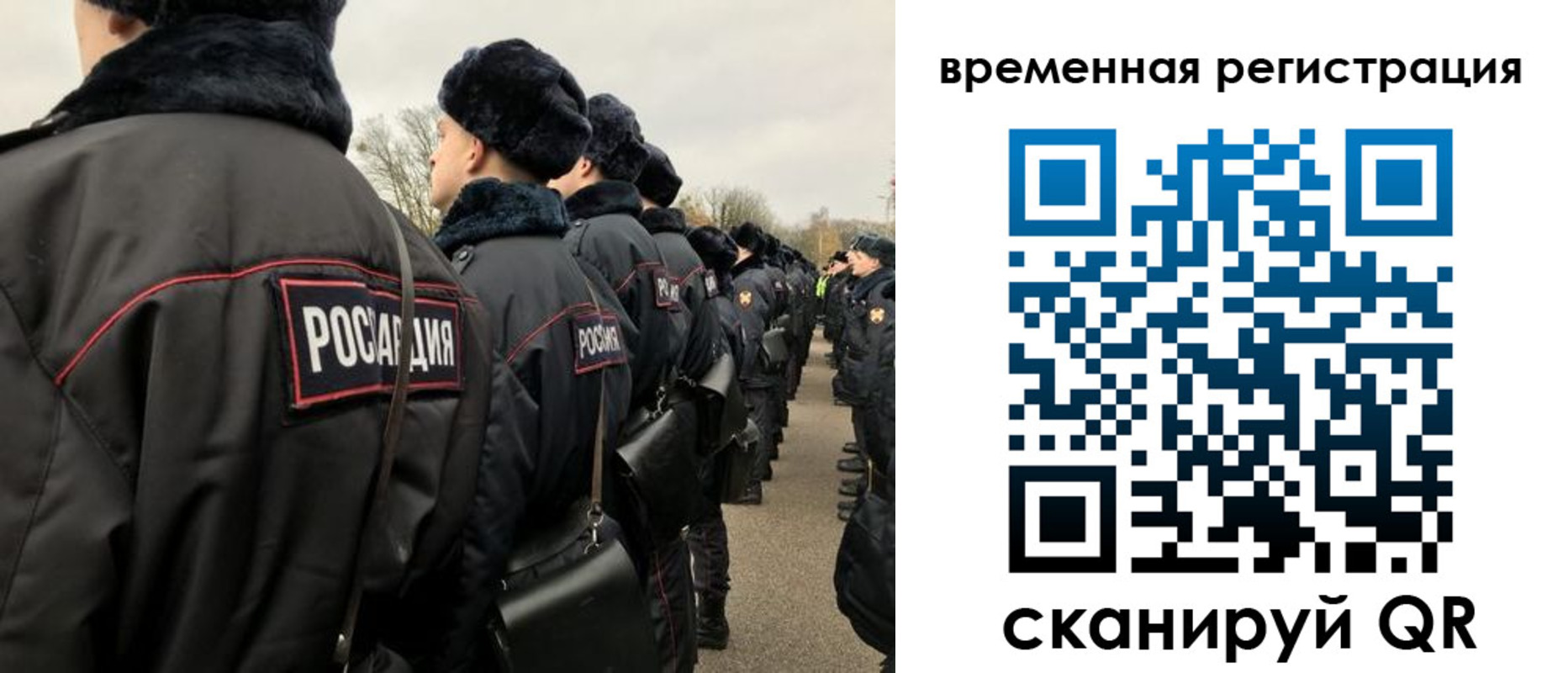 прописка гарантия в Лисках